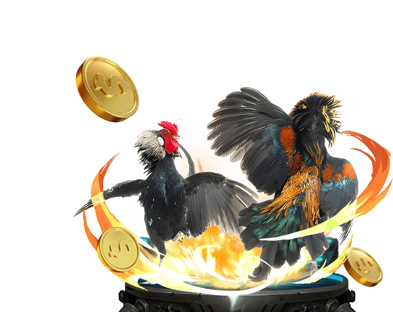 Hình ảnh thông tin cá cược có trách nhiệm